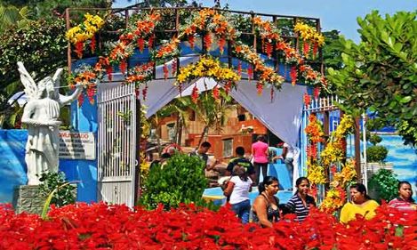 Floricultura e Cemitrio da Paz