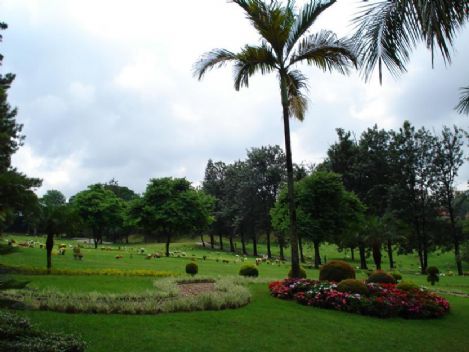 Floricultura e Cemitrio de Congonhas